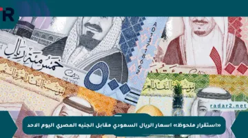 «صدمة كبرى» سعر الريال مقابل الجنيه المصري يشعل الأسواق اليوم